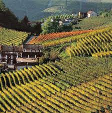 italiancountryside.jpg